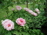 200&nbsp;03