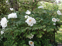 200&nbsp;04