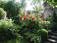 200&nbsp;06