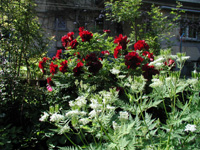 200&nbsp;07