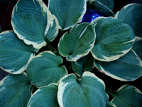 200&nbsp;10