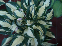 200&nbsp;13