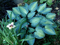 200&nbsp;41