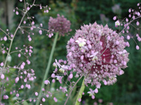 200&nbsp;02
