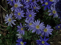 200&nbsp;04