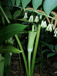 200&nbsp;10