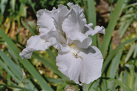 200&nbsp;36