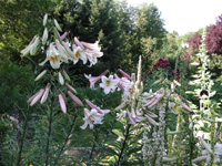 200&nbsp;40
